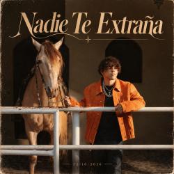 Nadie Te Extraña Nadie Te Extraña