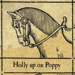 Holly Up On Poppy