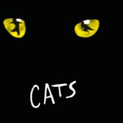 Grizabella The Glamour Cat (Cats)