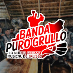 Banda Puro Grullo