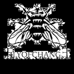 Flyofchange