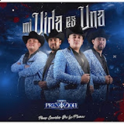 Grupo prezizion