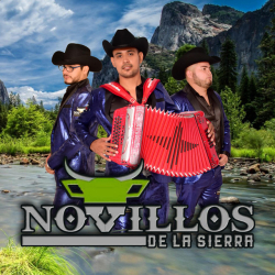 Novillos de la Sierra