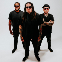 P.O.D.