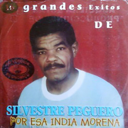 Silvestre Peguero
