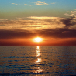 Without Words