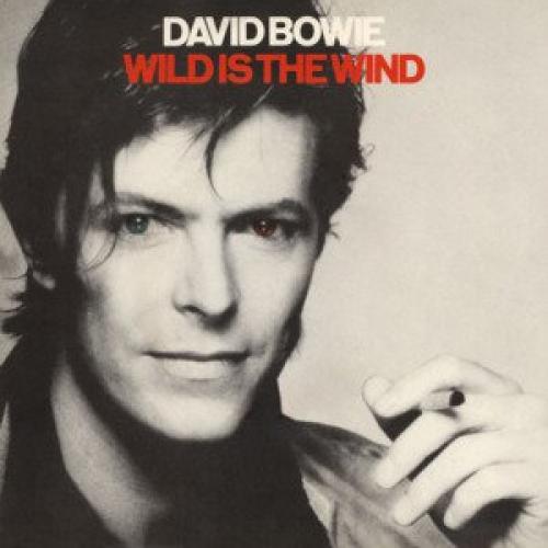 Wild is the wind