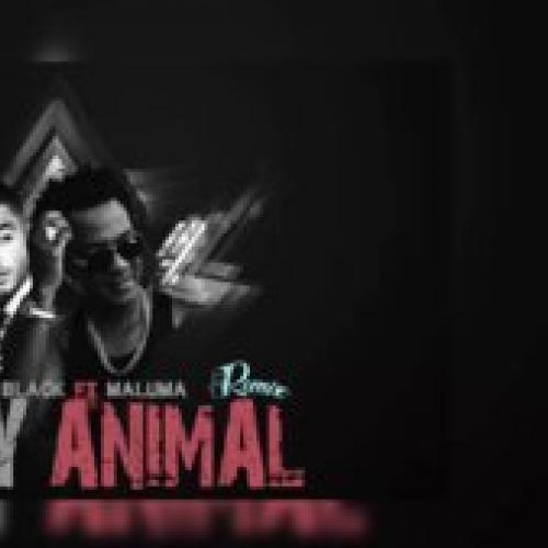 Party Animal Remix LETRA - Charly Black, El Boy C y Farruko