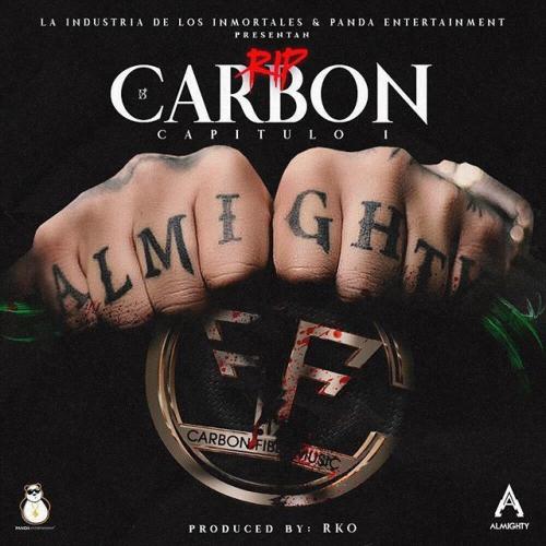Rip Carbon