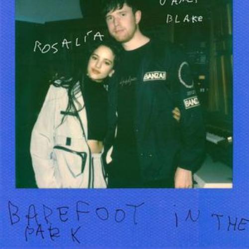 Barefoot In The Park