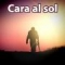 Cara al sol