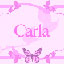 logo de carlii_b