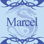 logo de marcelo293