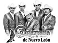 Cardenales de Nuevo León