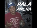 Pala Ancha