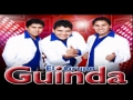 Grupo Guinda
