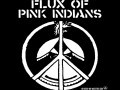 Flux Of Pink Indians