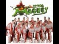 Banda Maguey