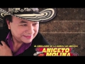 Aniceto Molina