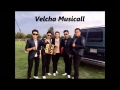 Velcha Musical