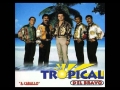 Tropical Del Bravo