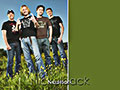 Nickelback