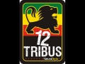 12 Tribus