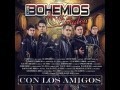 Bohemios de Sinaloa