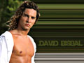 David Bisbal