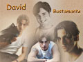 David Bustamante