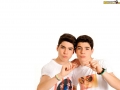 Gemeliers