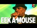 Eek-A-Mouse