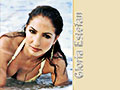 Gloria Estefan