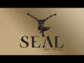 Seal - Kiss From A Rose