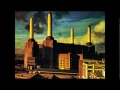 Pink Floyd - Pigs (3 Different Ones )