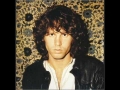 The Doors - End Of The Night