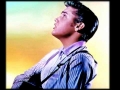Elvis Presley - He Knows Just What I Need