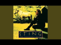 Sting - Fields Of Gold