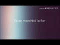 La Flor Amor