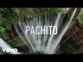 Pachito