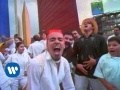 Caf Tacuba - Ingrata
