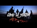 Como La Yerba (ft. La Mari)