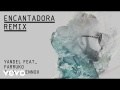 Encantadora (Remix) (ft. Farruko & Zion y Lennox)
