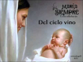 Del cielo vino