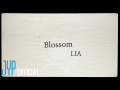 Blossom