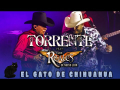 El Gato De Chihuahua (ft. Torrente)