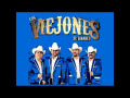 Amor A La Ligera (ft. Los Viejones De Linares)