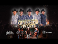 Caprichosa Y Coqueta (ft. David Y Fernando)