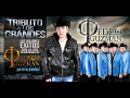 Vuelve