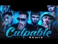 Culpable (Remix) (ft. Mike Duran, Kevin Roldan, Bryant Myers, Noriel y Darkiel) de Anuel AA